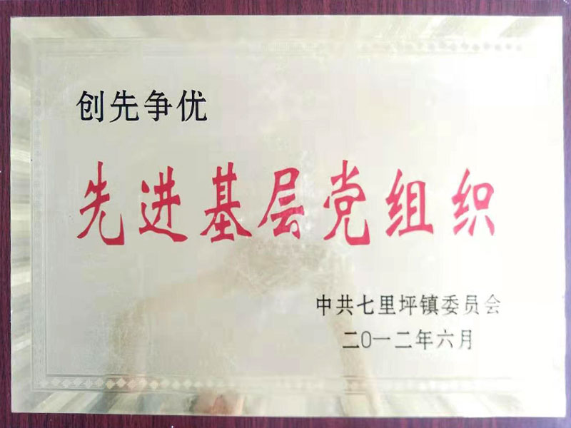 先进基层党组织